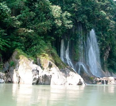 Pongo de Mainique en 4 días