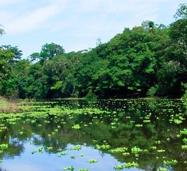 Tambopata 3 dias / 2 noches