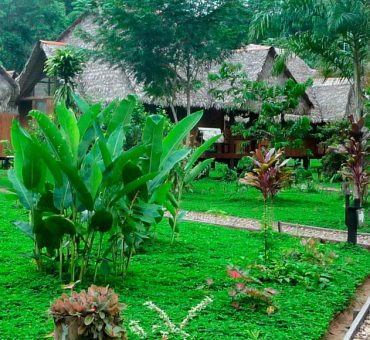 Tambopata Mágico 4 dias / 3 noches