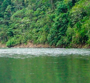 Tambopata 3 days / 2 nights